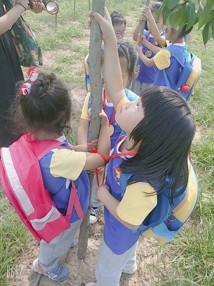 有棵小树被其他小朋友摇的受伤了,老师再和小朋友讲:小树是有生命的