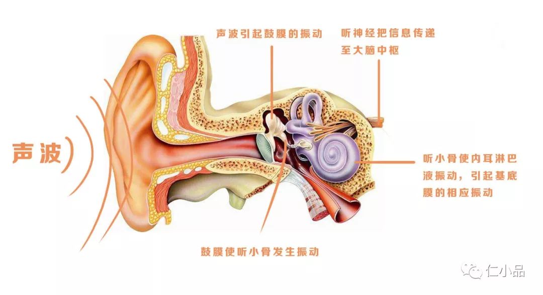 睡觉戴耳机听歌的当心耳聋!医生:这是一种年轻人新型现代病