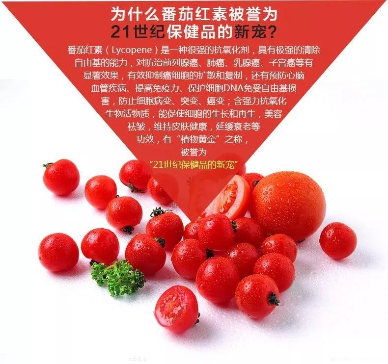 高抗氧化剂更容易释放出来所以生吃番茄补维生素c熟吃番茄补番茄红素