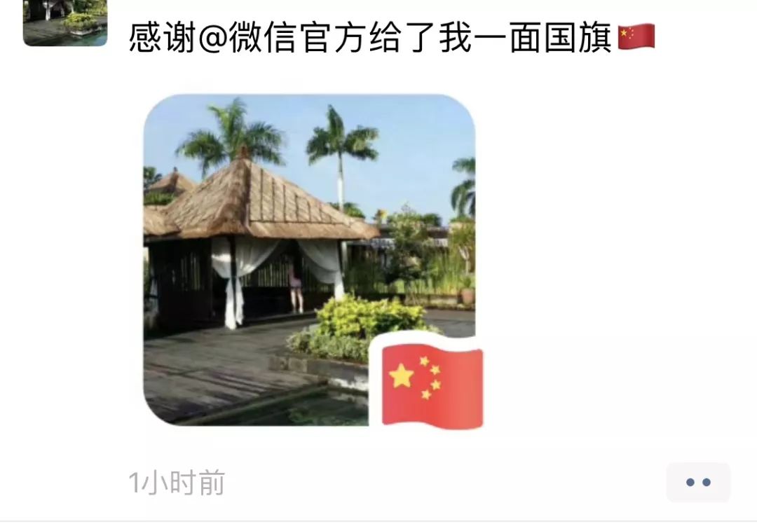 @微信官方 沒給國旗?微觀峰峰送你一面國旗!_頭像