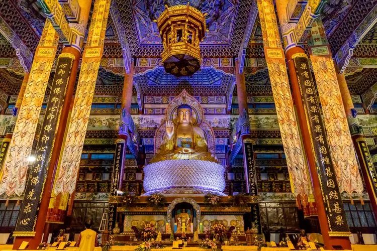 定了!2019年汝南菊展将在南海禅寺举办,亮点多,规模大