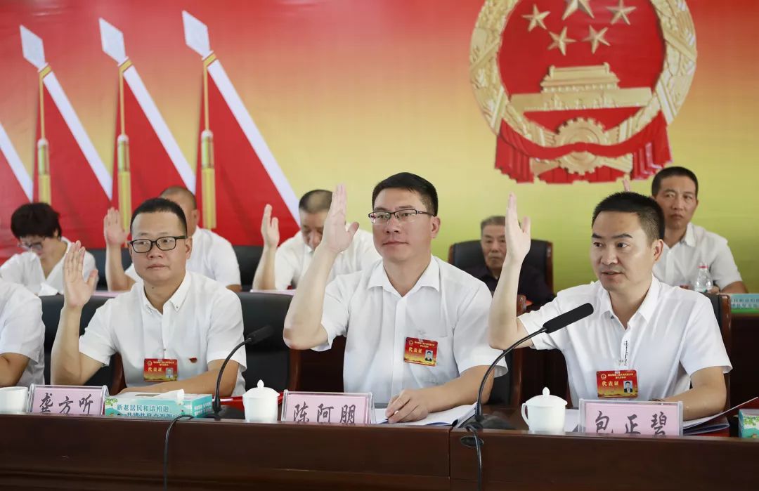 陶山镇第二届人民代表大会第七次会议胜利召开