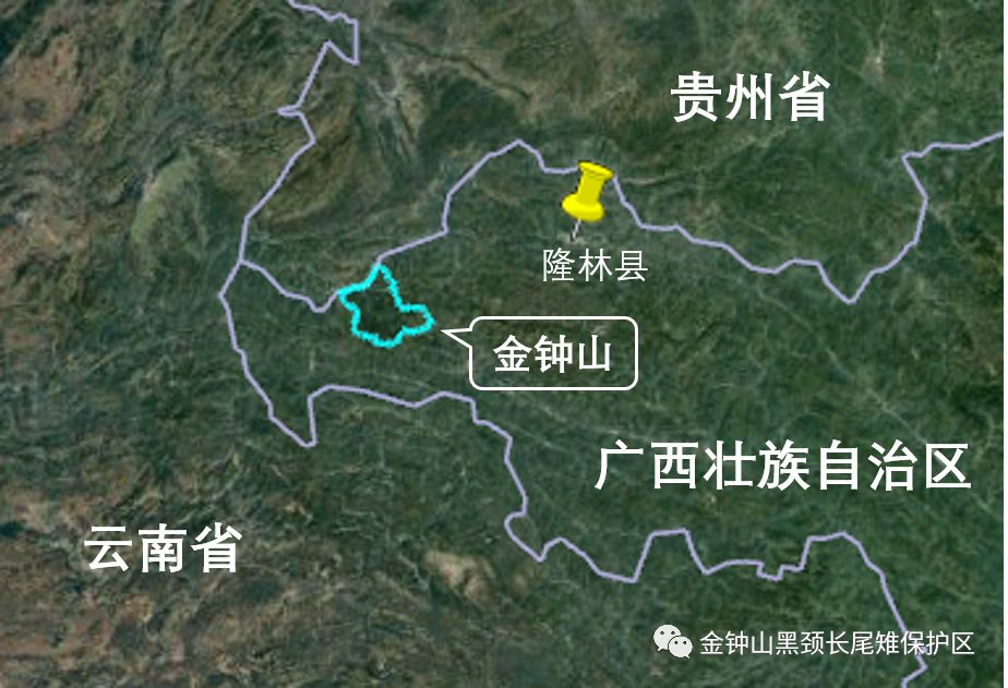 2019广西观鸟赛金钟山保护区观鸟线路抢鲜版