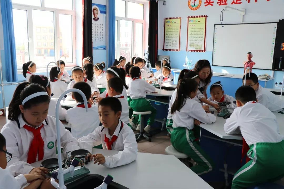 壮丽70年五新桦川时代先锋之文化新时代先锋