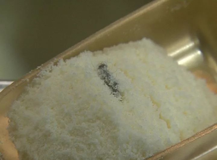 飞鹤奶粉出现异物太原家长怒不可遏