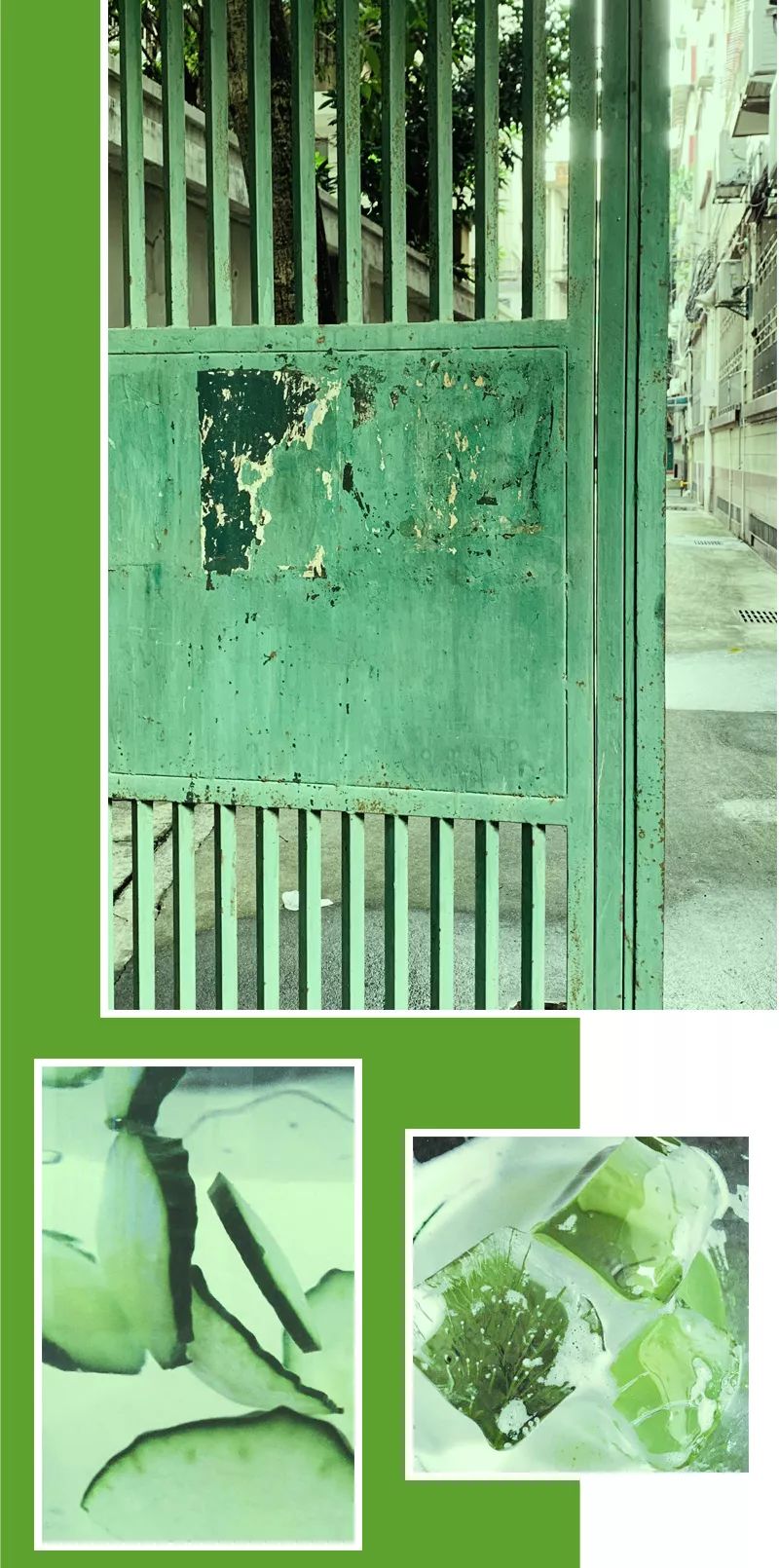 那九月便是 广州的绿 深得我心 锈迹斑斑的绿色铁门 我取名为古锈绿