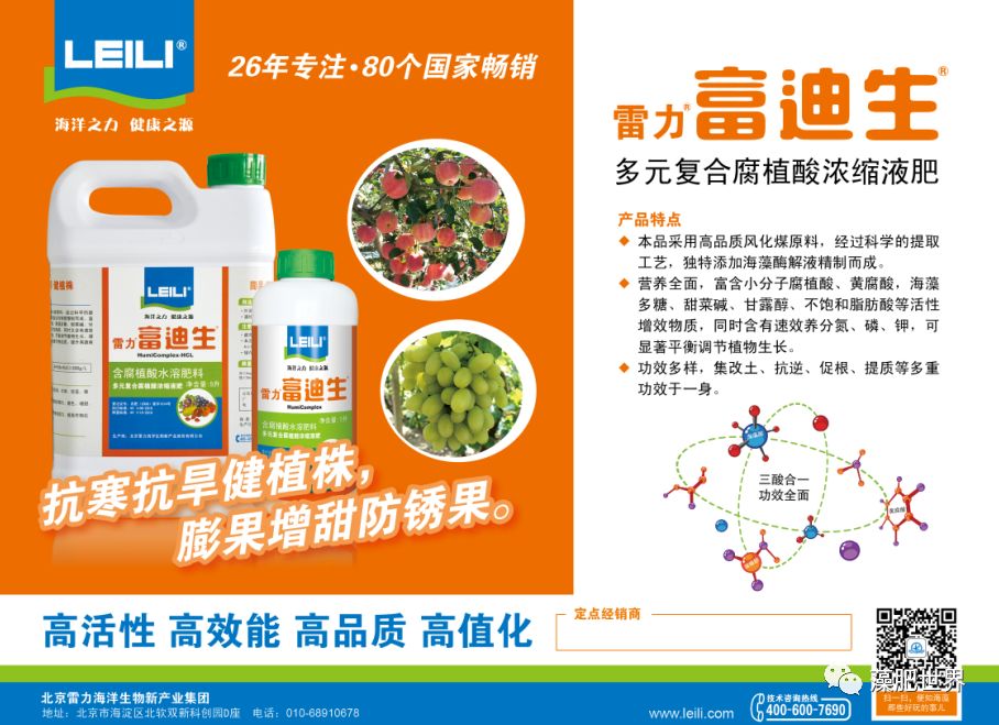 藻润辣椒辣椒个大而饱满雷力给你喂了啥