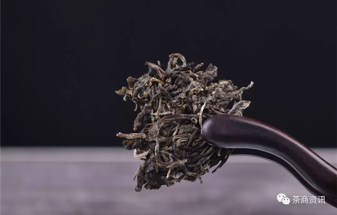 茶叶的品质更多决定于生态,气候,加工等因素,有茶商认为古茶树根系