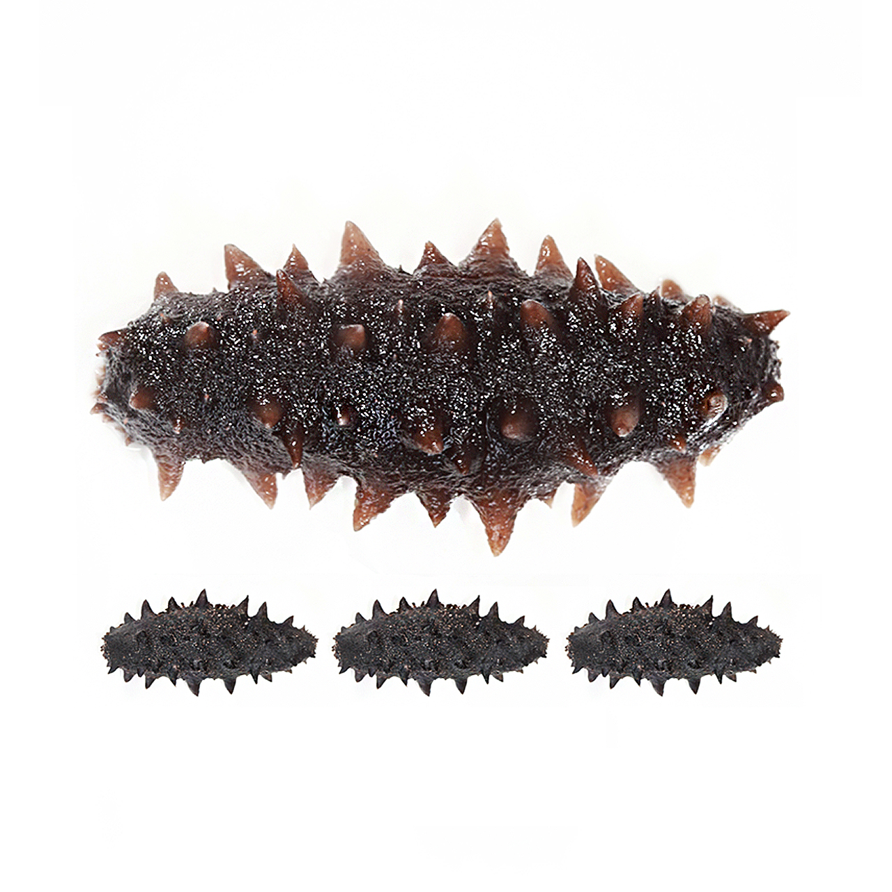 购买需谨慎海参有假的吗海参有哪几种