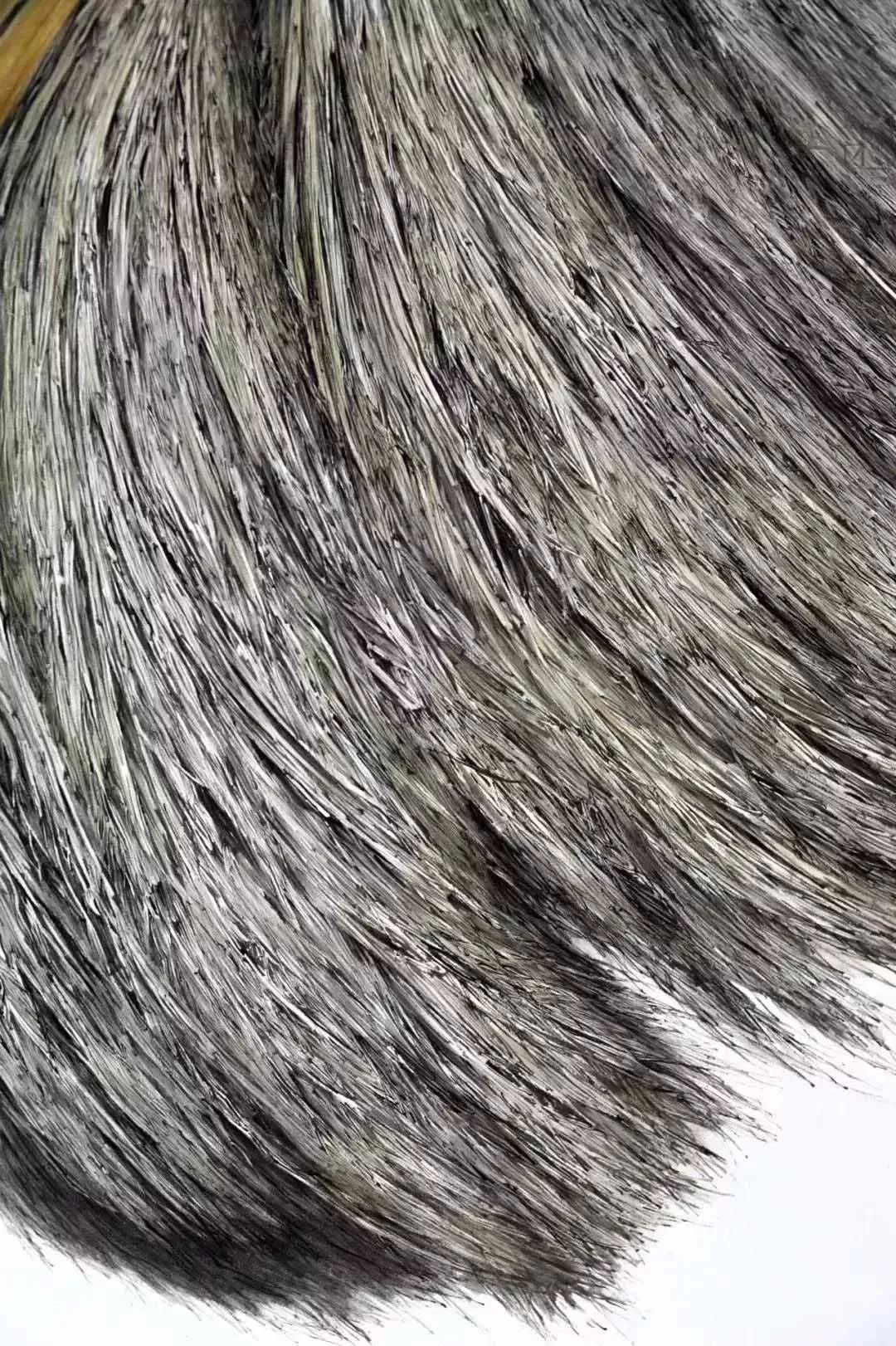 中央美术学院精微素描欣赏,看完之后你啥感想?