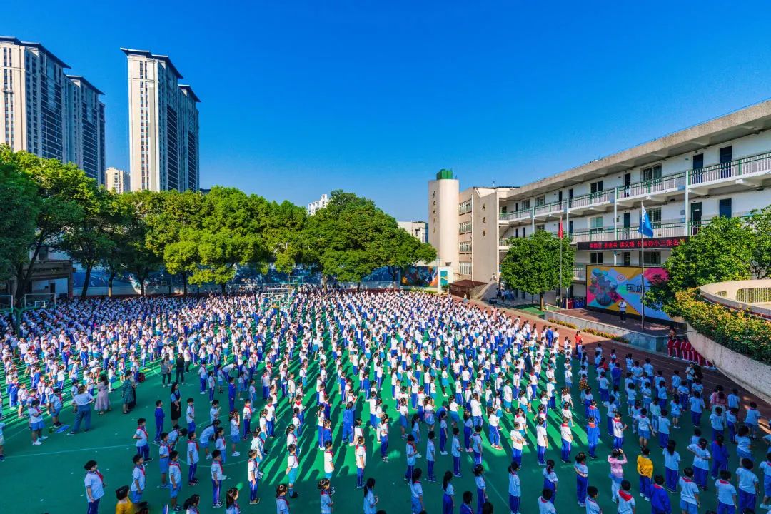 砂子塘小学校区图片