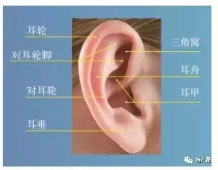 不可忽视的儿童耳廓畸形儿疾科普