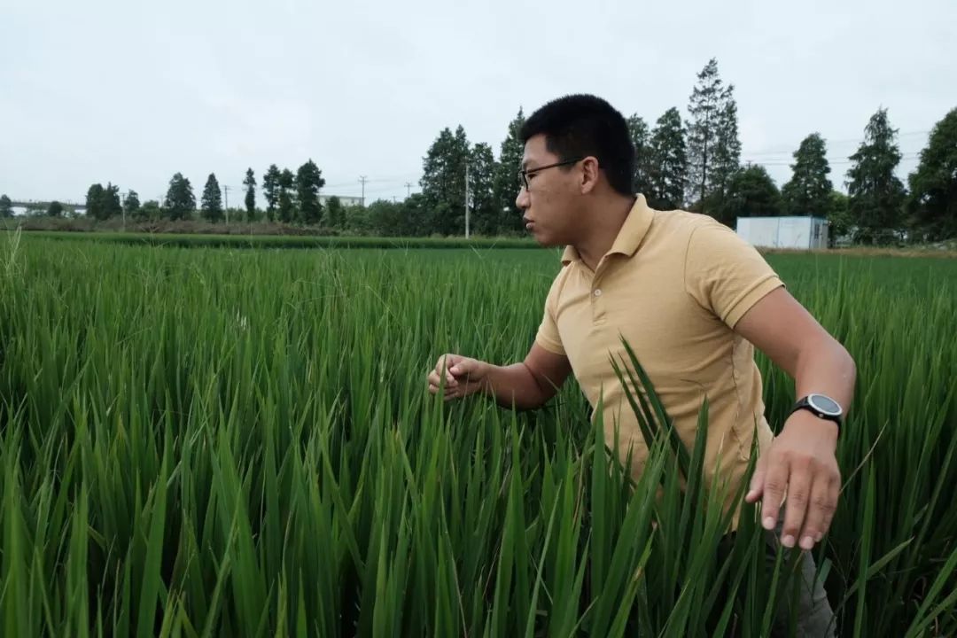 发现鄞州 | 汪琰斌:不当白领当农民_风鹏