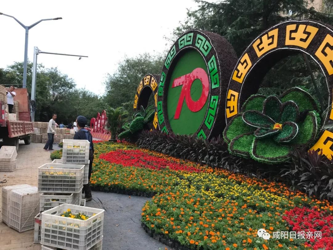 百万盆鲜花扮靓咸阳国庆摆花抢鲜看