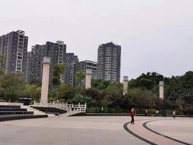 陆良西华公园的秋叶静美