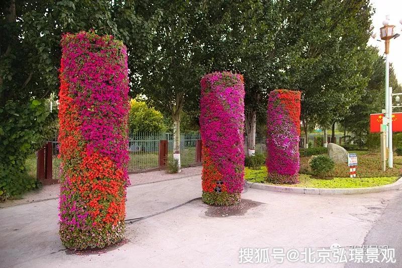 绚丽金秋,美丽保定!弘璟科技助力添彩城市美景