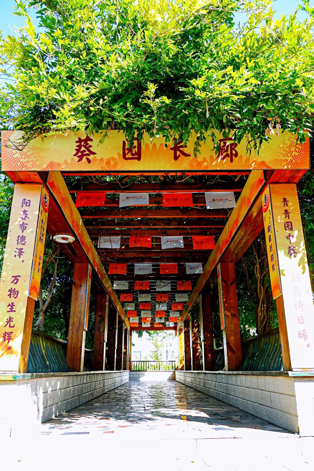 经过了举手表决,两个大气的名字诞生啦:葵园长廊和葵园大道!