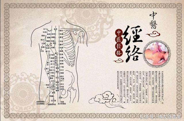 中医经络减肥这些需要注意