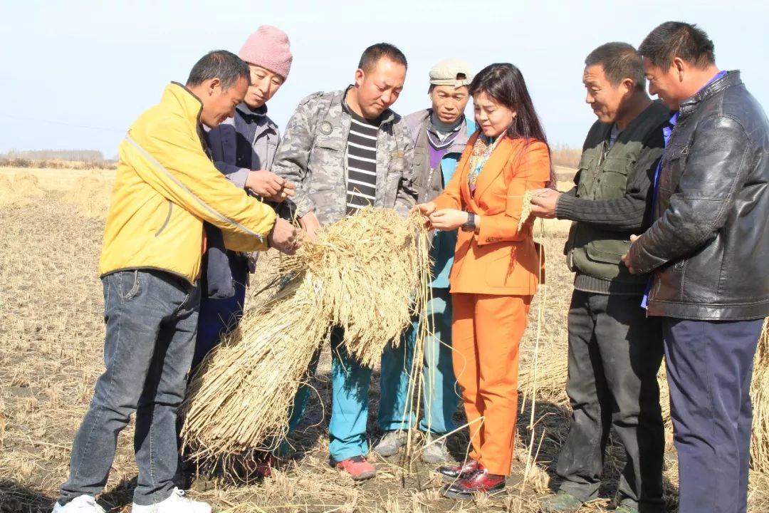 毛文婭:回到黔西南大山裡奮鬥的女羊倌