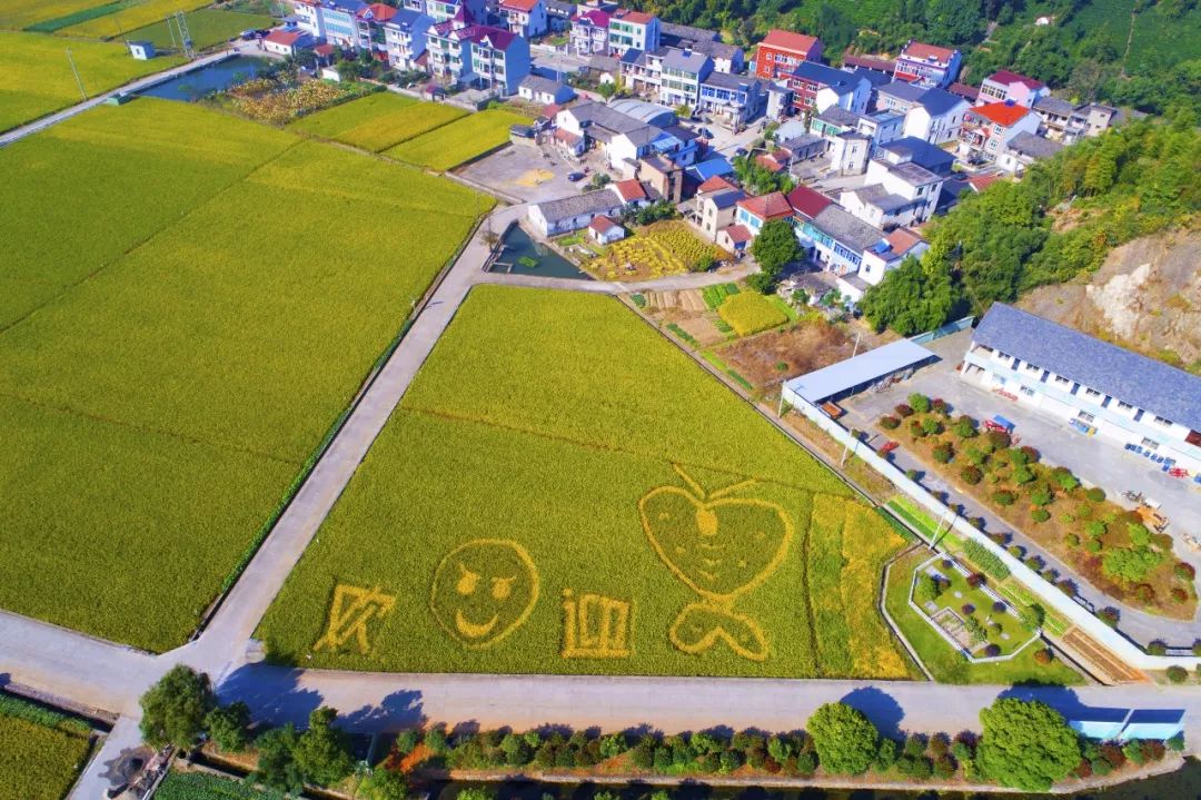 诸暨这几个地方出名了,有你的家乡吗?