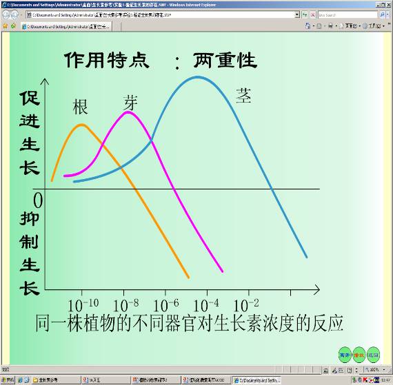 敏感性由高到低为:根,芽,茎(见下图)生长素对植物生长调节作用具有两