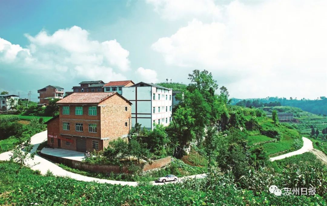 壮丽70年奋斗新时代忠县发展成就巡礼金声乡利民路拓宽乡村展新颜