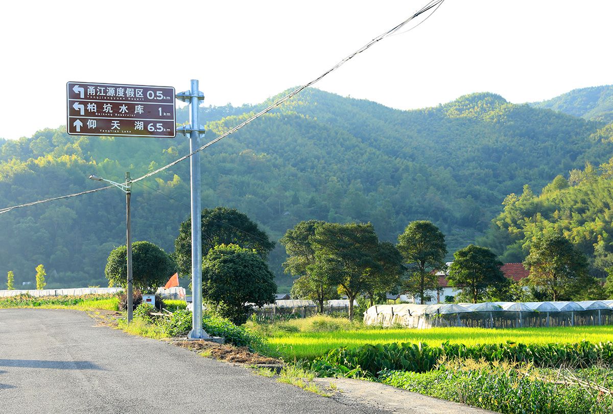 奉化仰天湖不僅是坑還坑人官方回覆來了