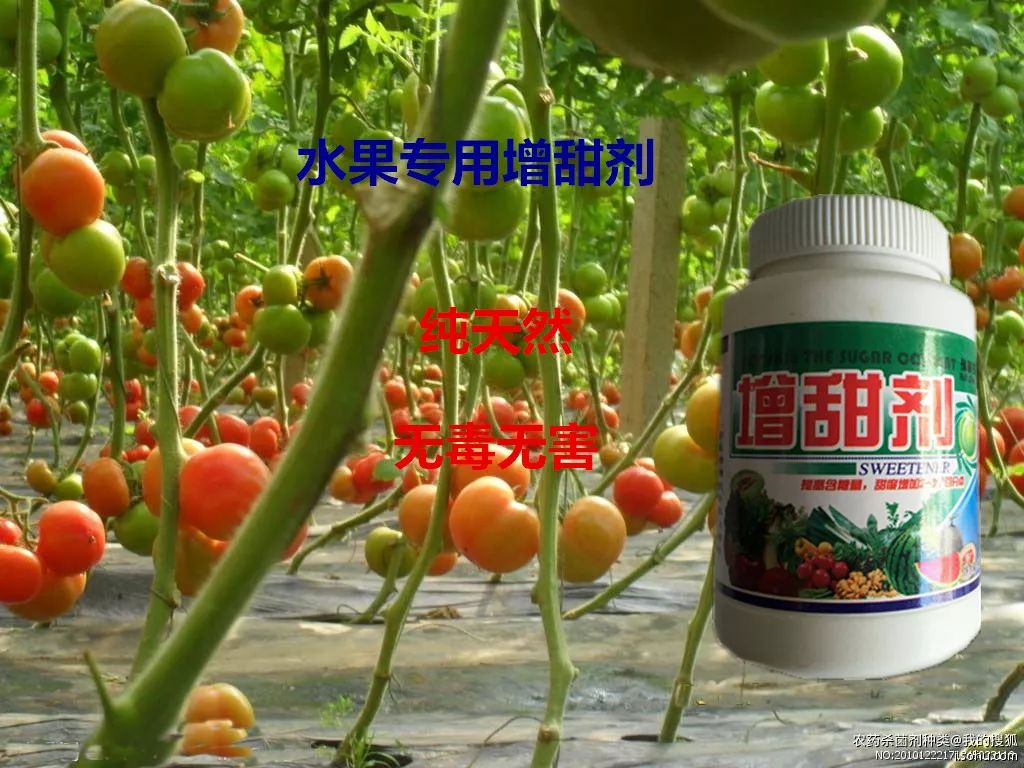解密食品谣言水果能靠甜蜜素增甜