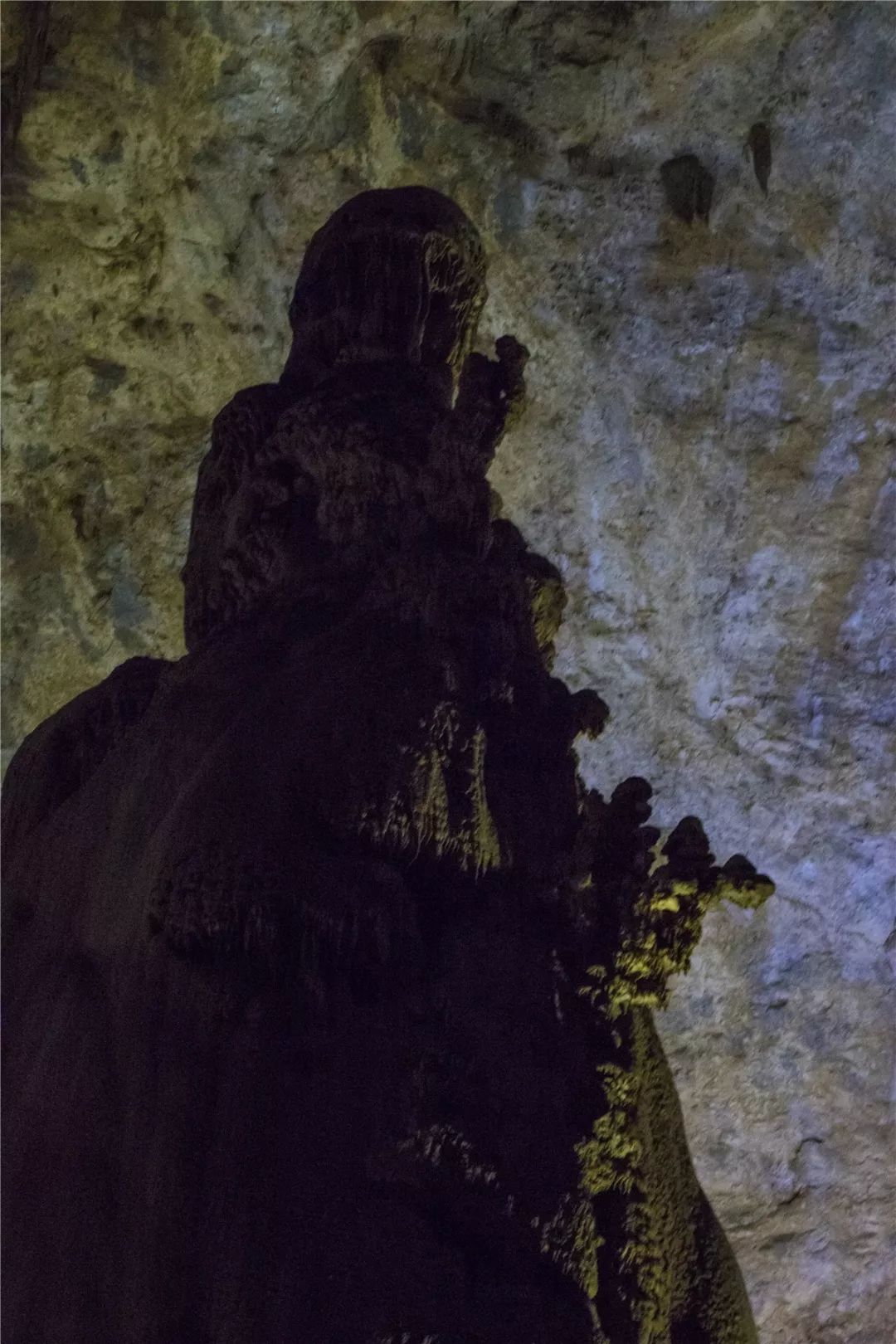 倒掛琵琶,姊妹玉樹,神秘大佛……特別是栩栩如生的霸王盔,銀雨樹,攝影