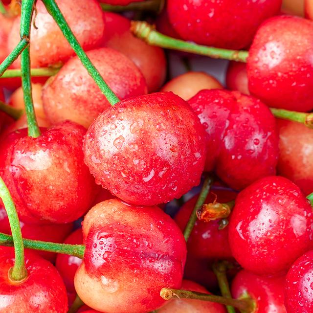 布鲁克斯樱桃怎样,应当如何栽培管理