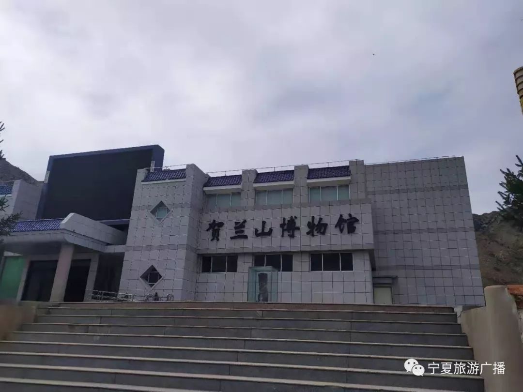 贺兰山自然博物馆位于苏峪口国家森林公园迎宾区,场馆占地面积3000