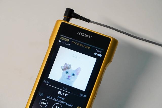 索尼ierm7体验报告当偏科生走向极致