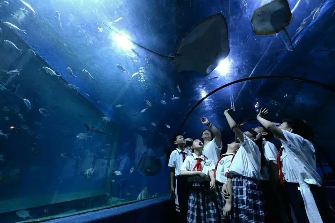 活动多多国庆小长假来邯郸海洋世界探秘吧