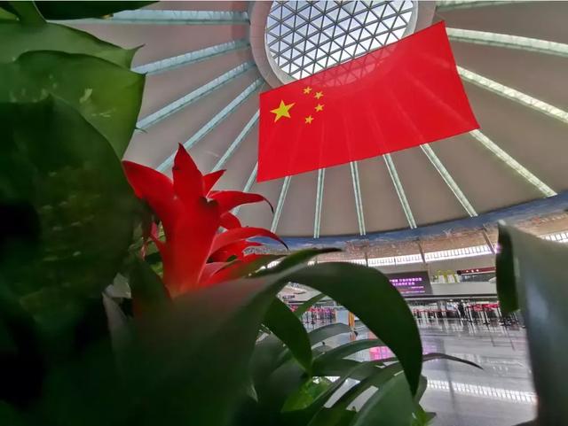 国旗下,10多个品种600多盆花卉构成了一个立体花雕景观,造型庄重喜庆