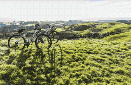 95拐子角农场度假屋让你开启不一样的农场之旅:剪羊毛,山地车,直升