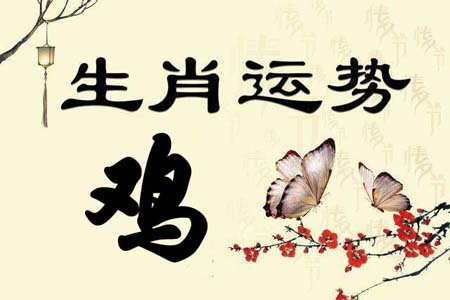 风水师生肖属鸡之人在2019年运势及运程