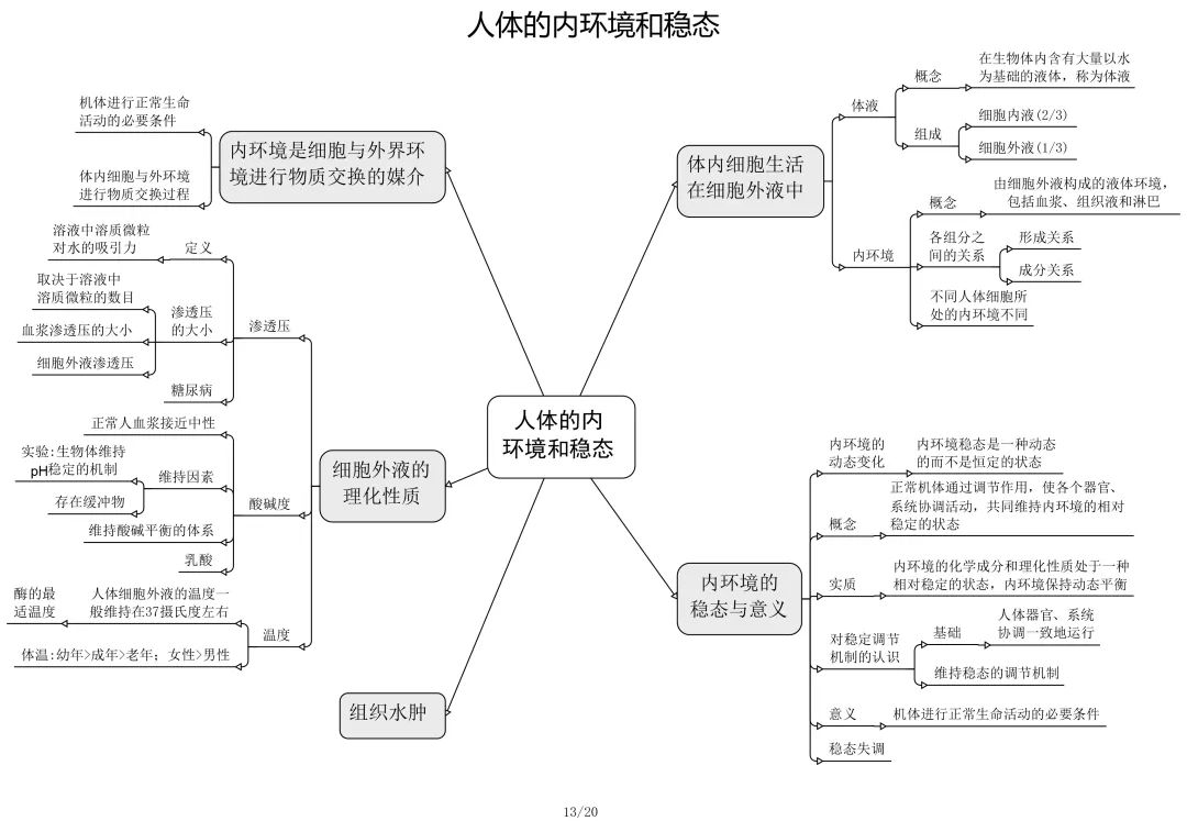 高中生物学习需要理解和背诵相结合,为帮助北京考生更有条理的学习