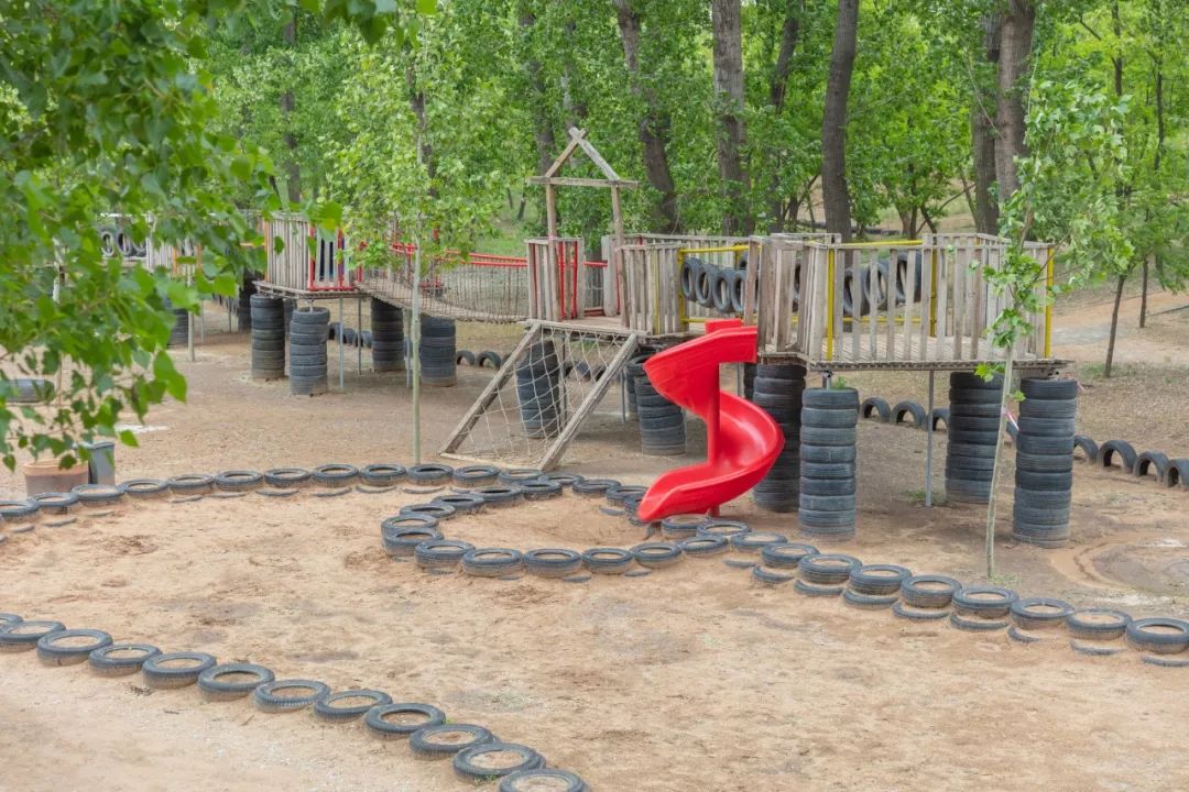 【实践课堂之五】--走进沙窝森林公园_滑梯