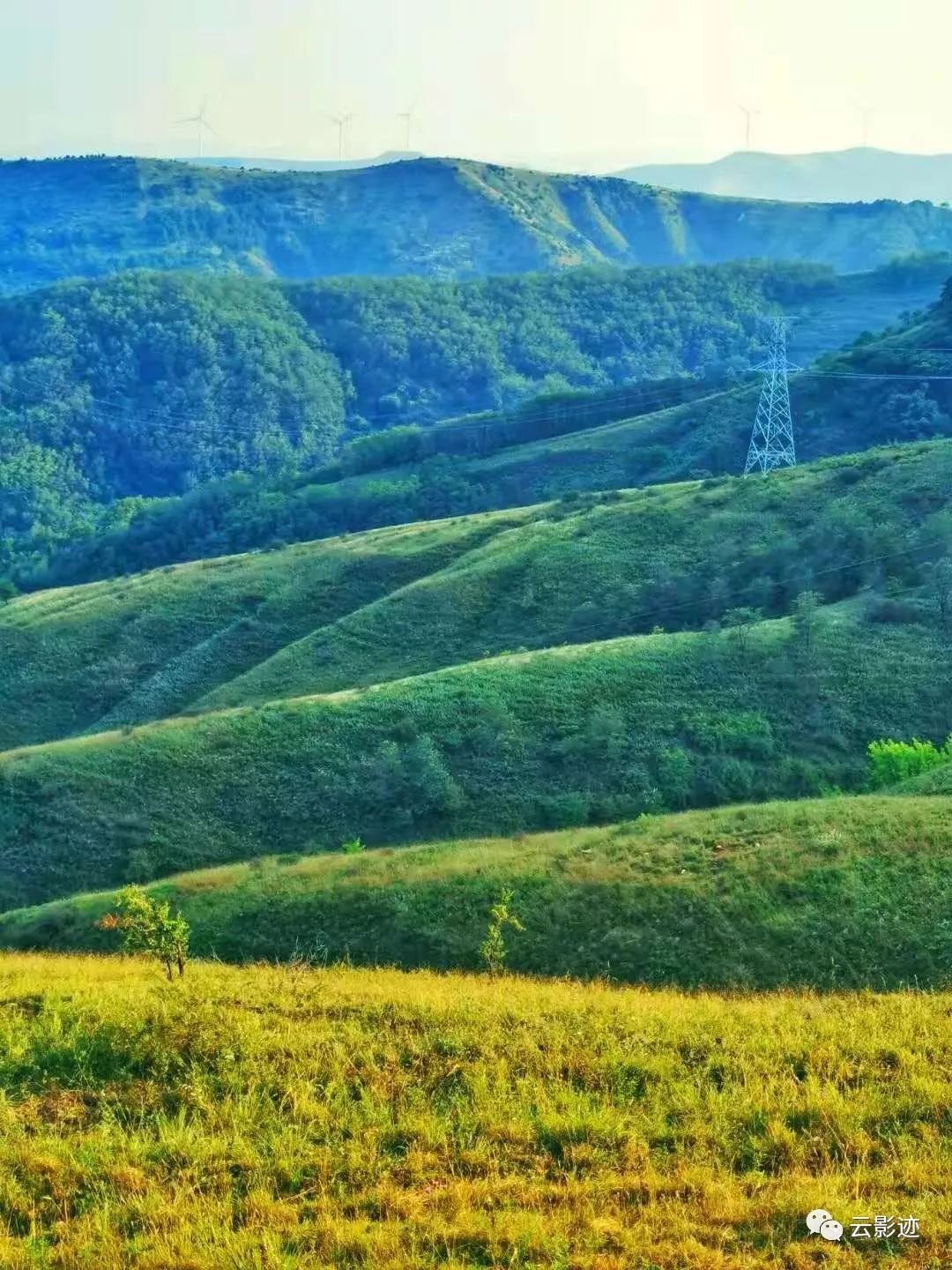 上灵宝大青山,正是时候!