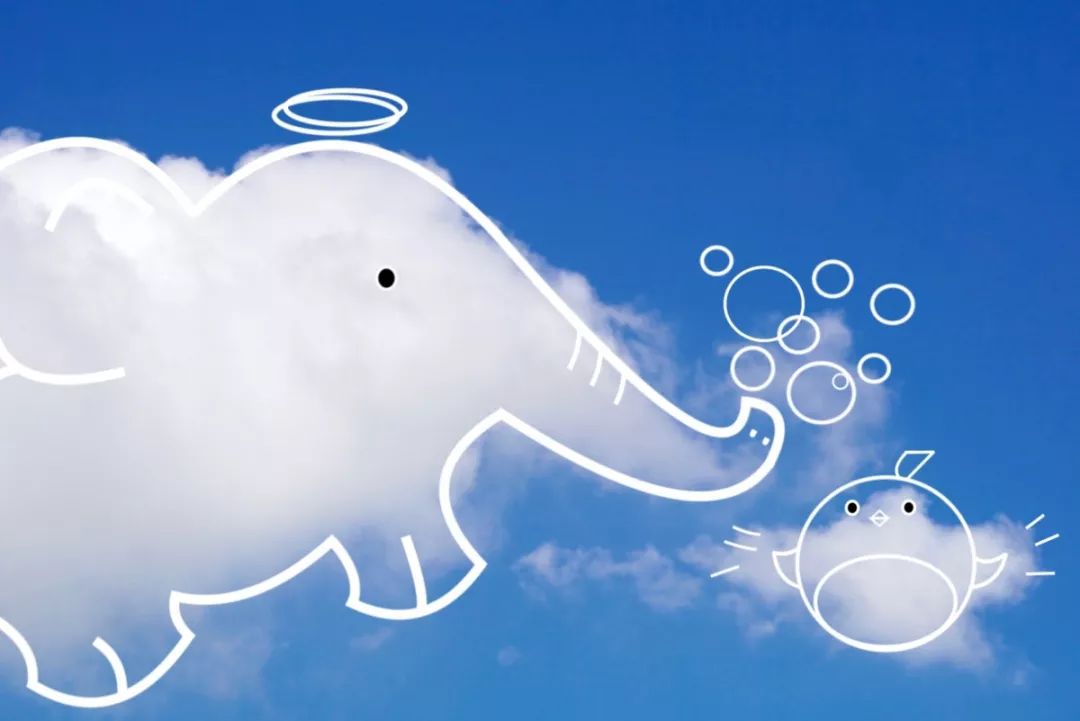 立信专属棉花糖今日开售