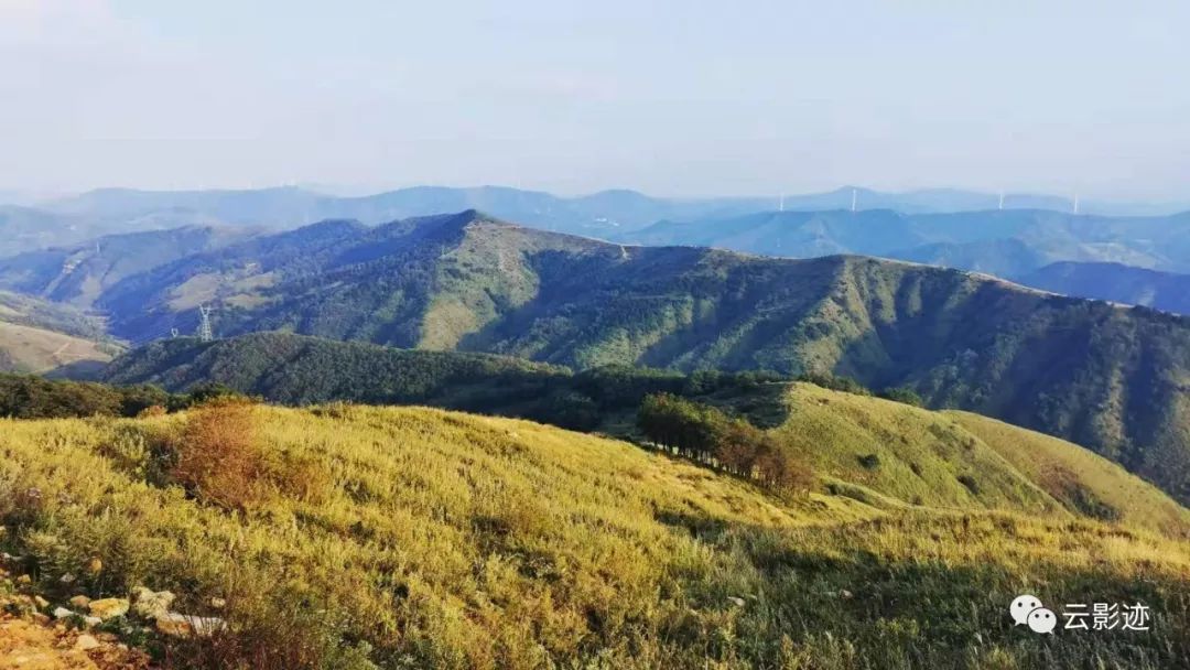 上灵宝大青山,正是时候!