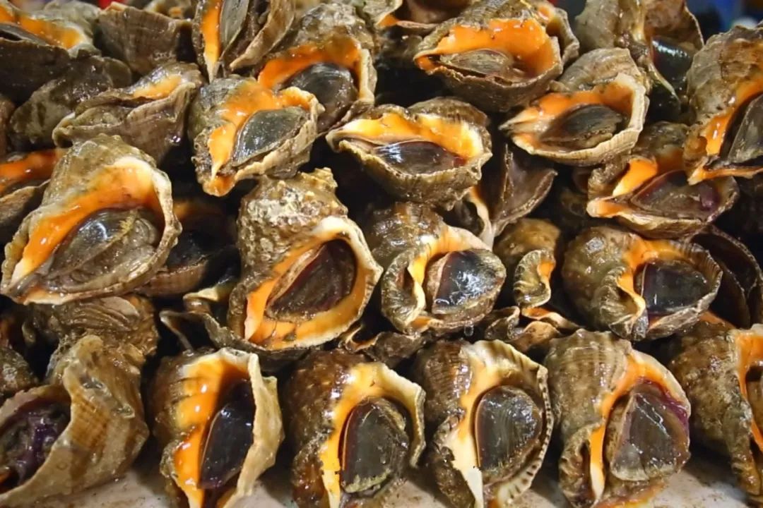 制作东港海鲜产品特色菜和特色美食,评选出东港市"十大特色海鲜宴"