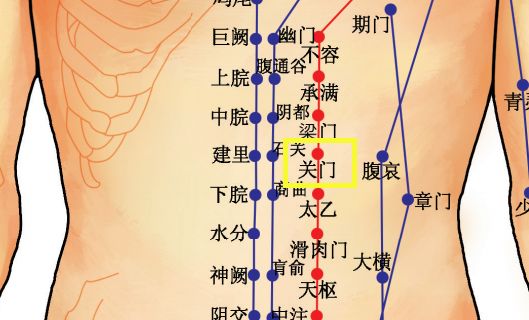 穴位知识 | 十二经脉·足阳明胃经之关门穴