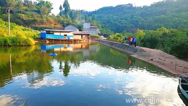 重庆江津鱼苗养殖基地图片