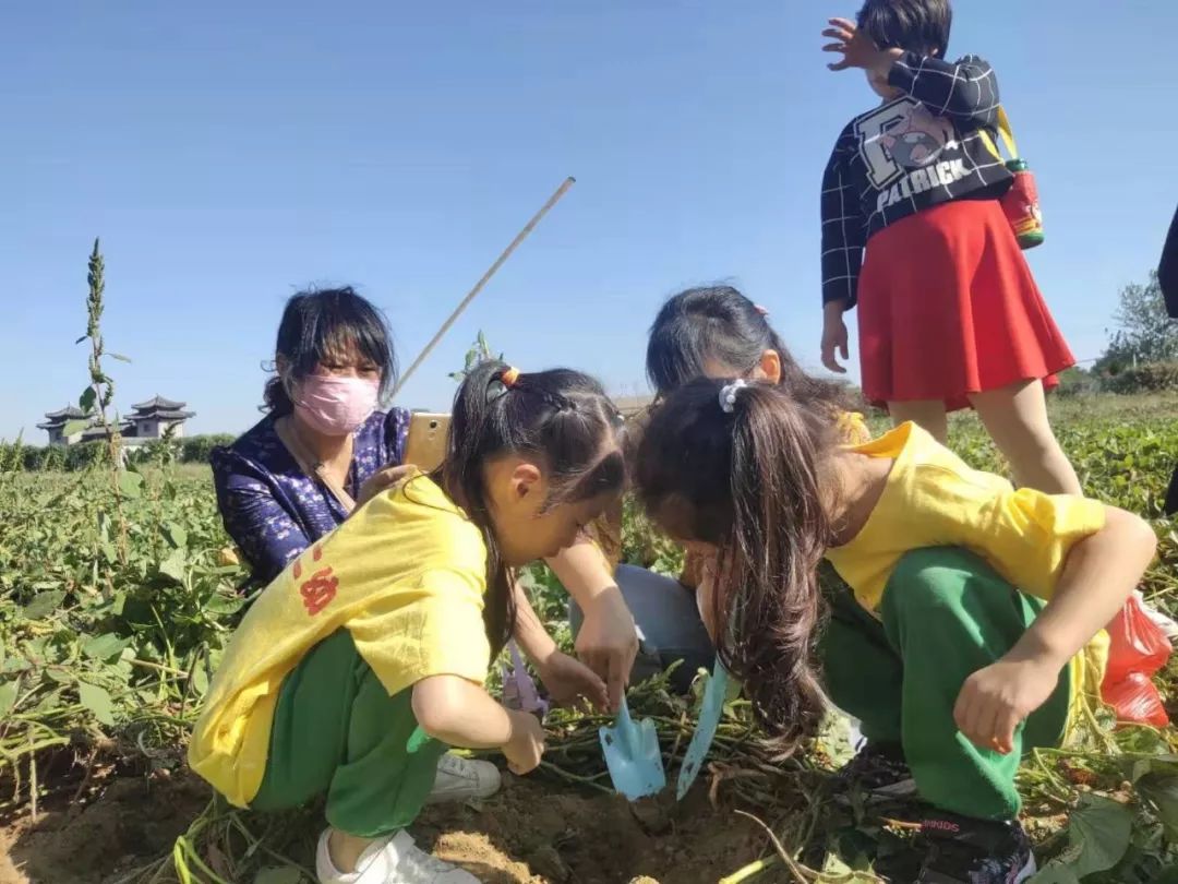 相約秋天走進田野蚌埠機關二幼大班幼兒戶外親子活動