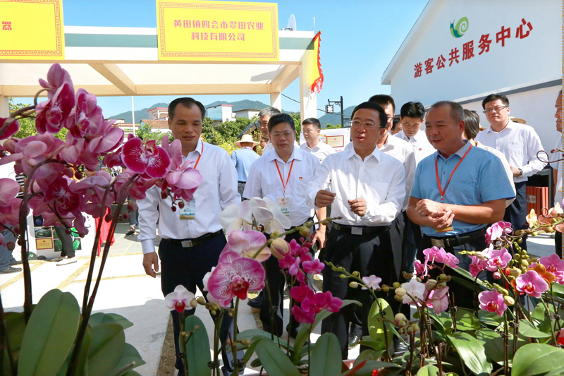 肇庆市市长范中杰(左三)在四会市委书记黄建平(右一),市长李伟忠(左二