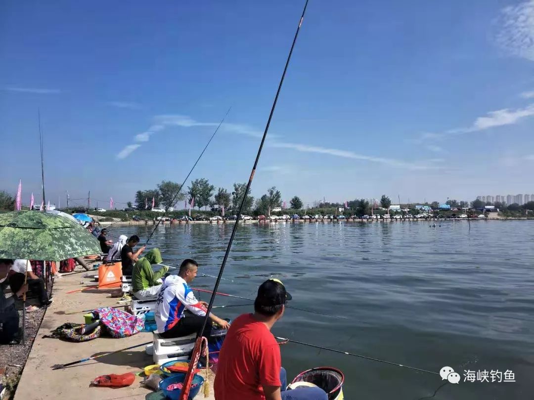 海峡钓鱼9月14日15日,四类国赛在中秋节来到了来到了天津静海花园钓场