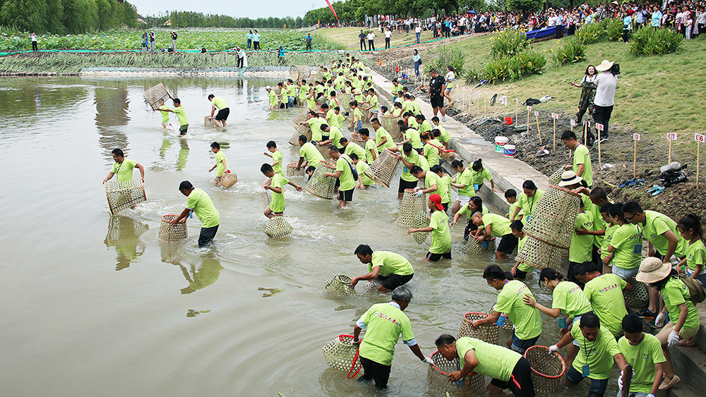 谁是锦鲤亲子罩鱼摸鱼比赛开始报名啦
