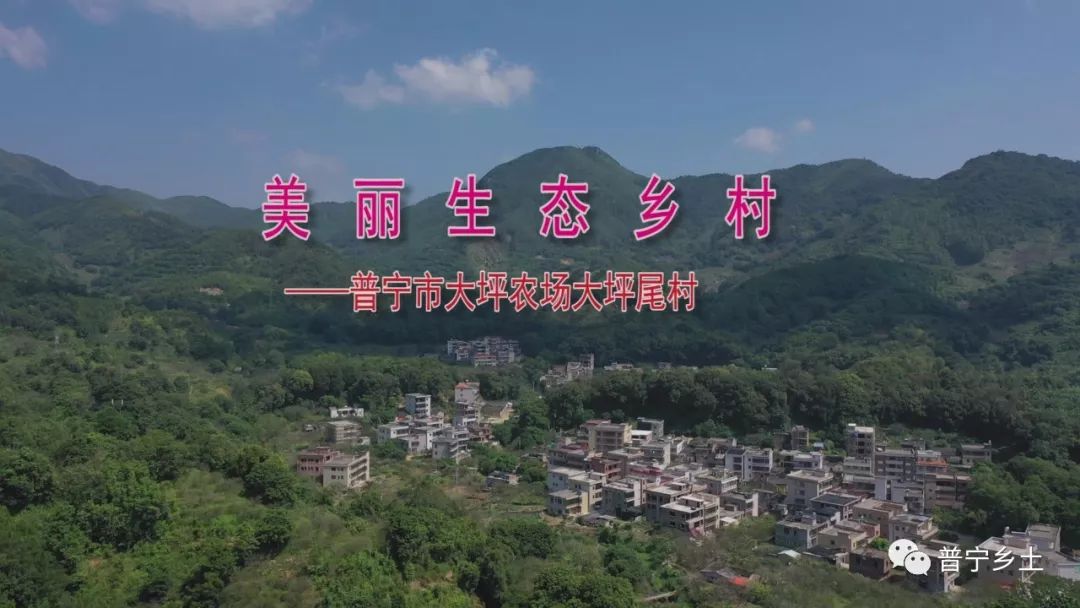 农场大坪尾村民风淳朴,环境优美,是一处休闲观光旅游的好去处_普宁市