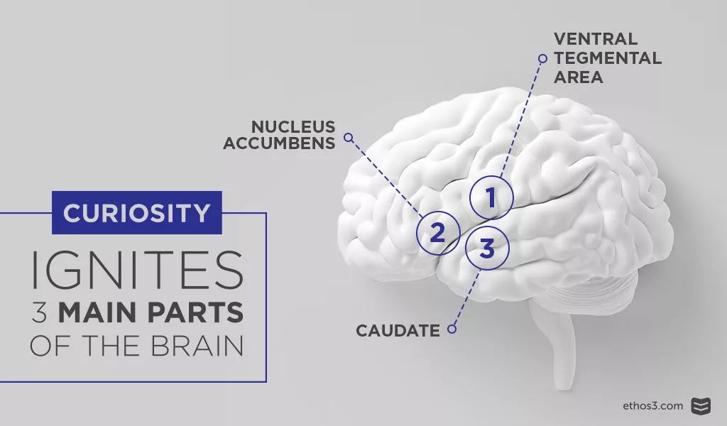 那些学习好的孩子基本都是问题儿童